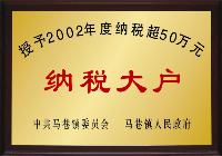 2002��˰��